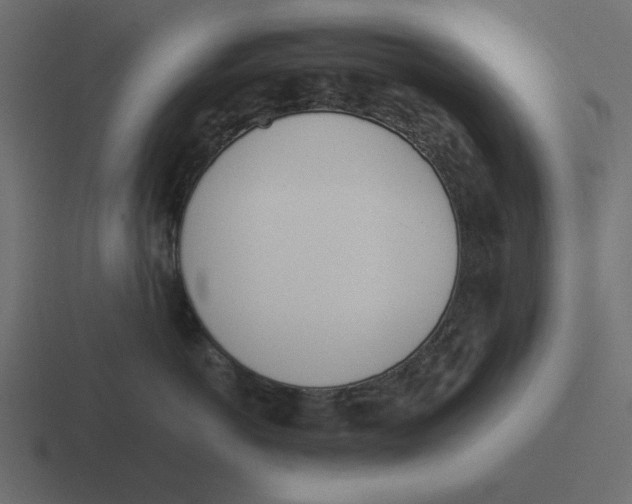 X0000116460766200912292007