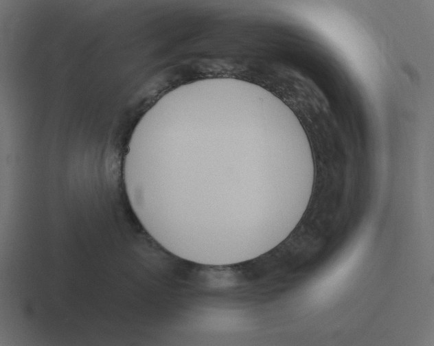 X0000116460767200912292007