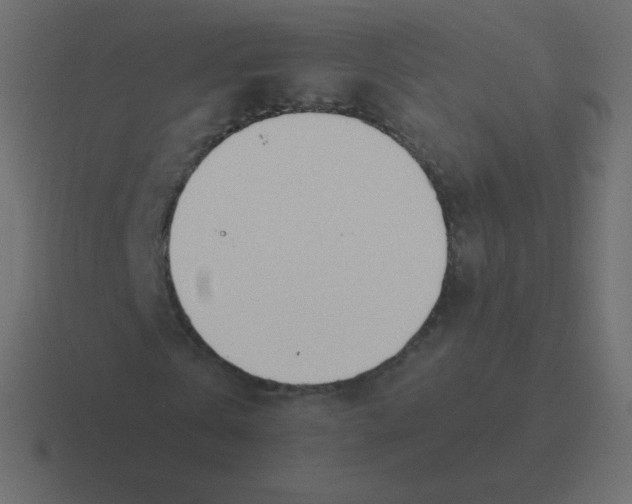 X0000116460769200912292006