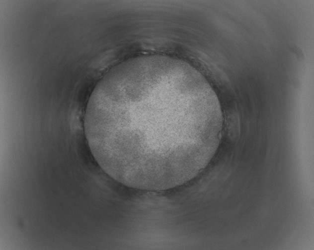 X0000116460770200912292006