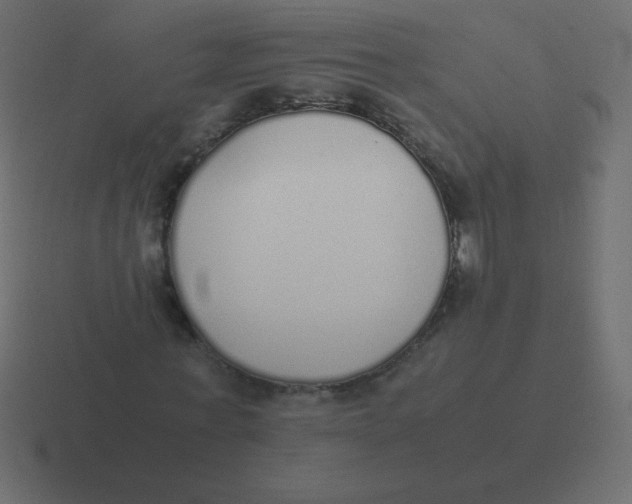 X0000116460771200912292006