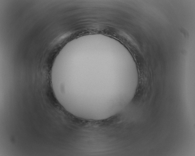 X0000116460773200912292006