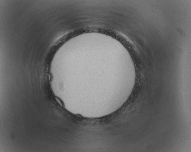 X0000116460775200912292006