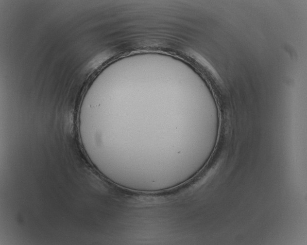 X0000116460777200912292006