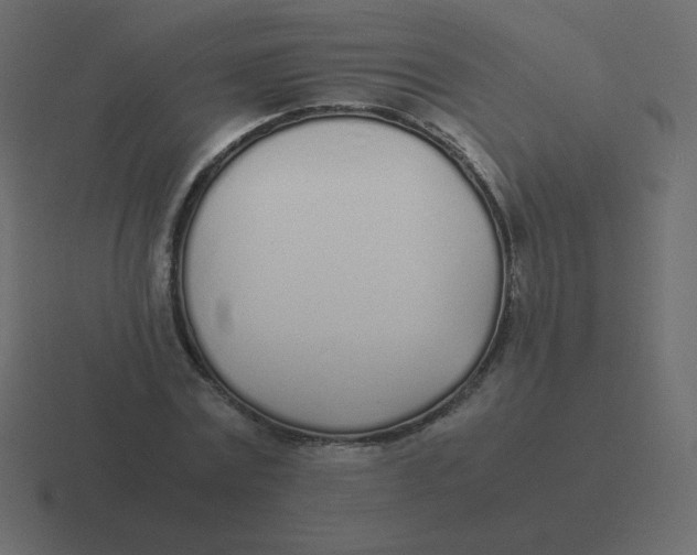 X0000116460779200912292006