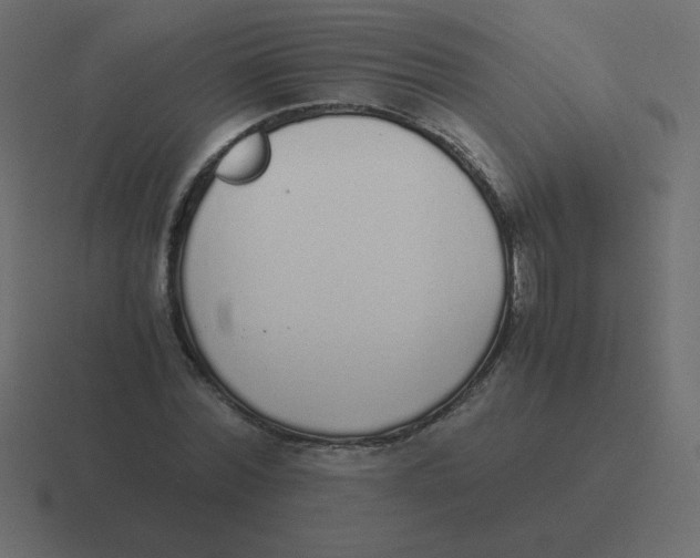 X0000116460780200912292006