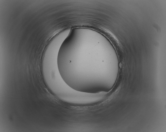 X0000116460785200912292006