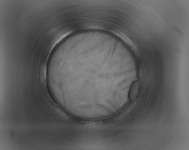 X0000116460790200912292006