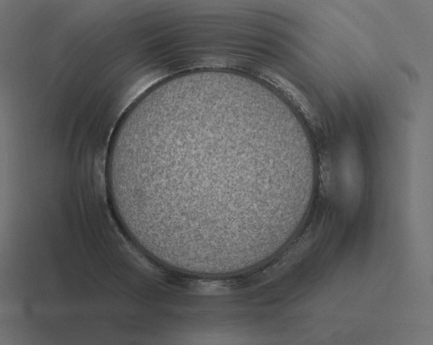 X0000116460794200912292006