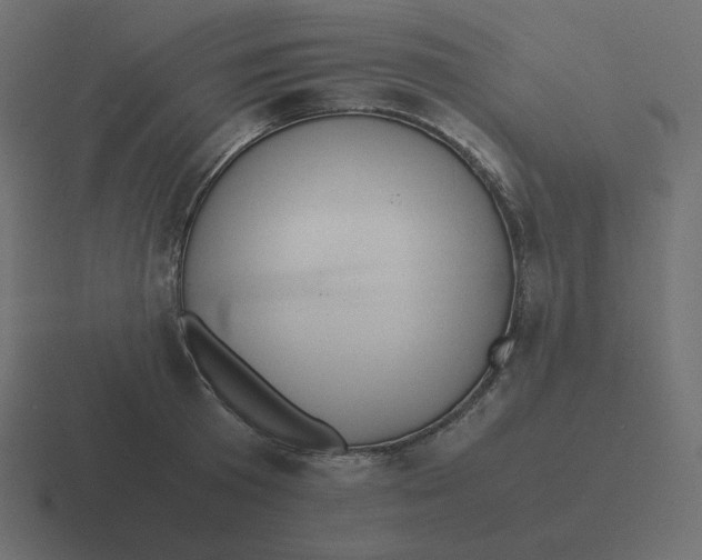 X0000116460801200912292006
