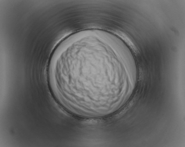X0000116460806200912292006