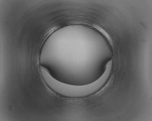 X0000116460809200912292006