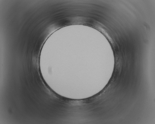 X0000116460810200912292006