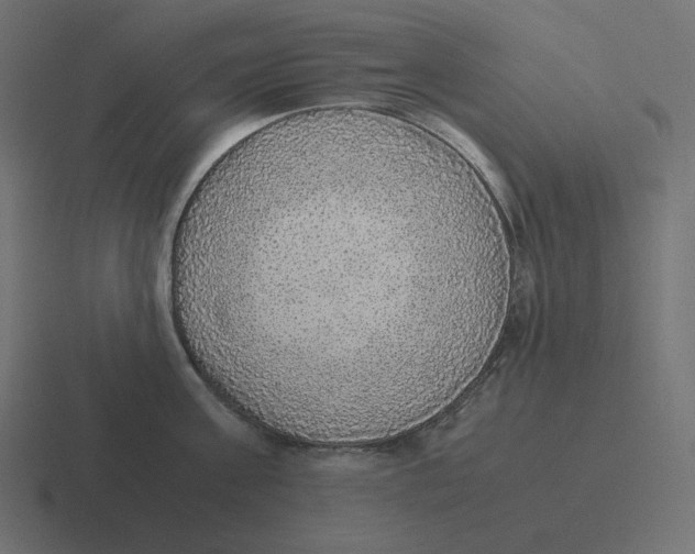 X0000116460811200912292006