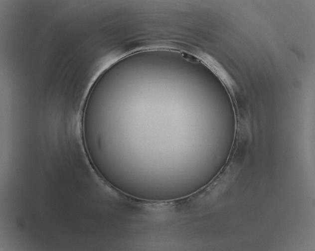 X0000116460813200912292006