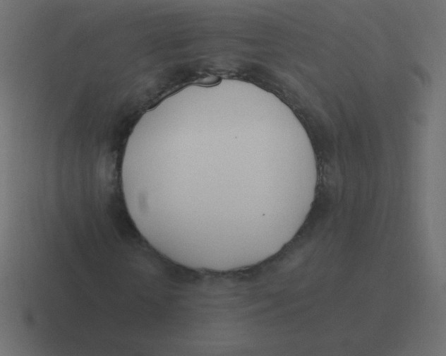 X0000116460818200912292005
