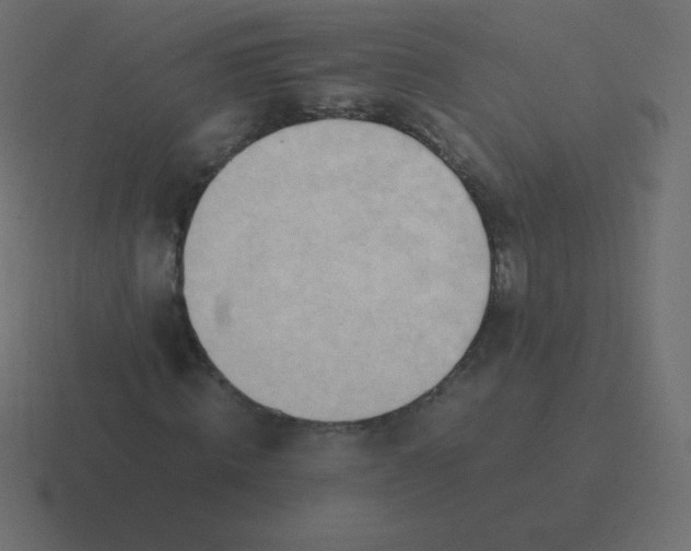 X0000116460820200912292005