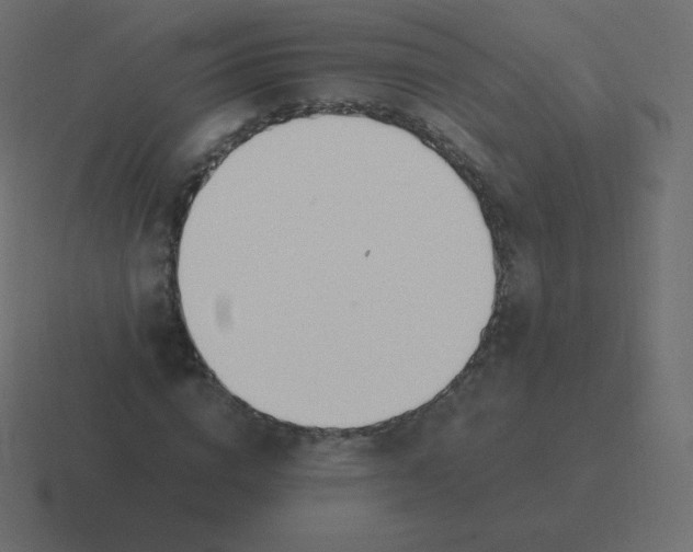X0000116460824200912292005
