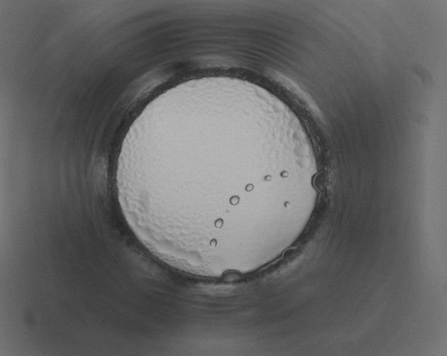X0000116460825200912292005
