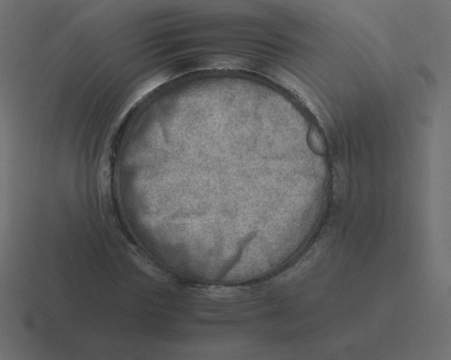 X0000116460827200912292005