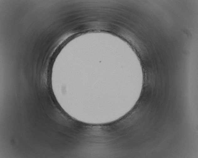 X0000116460828200912292005