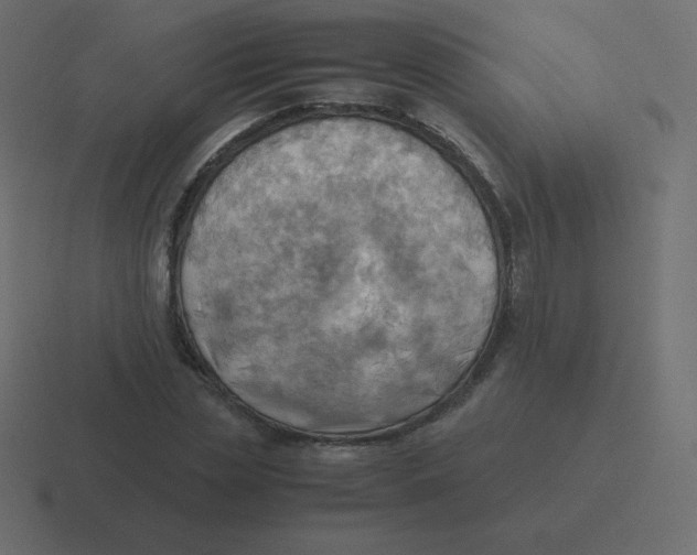 X0000116460829200912292005