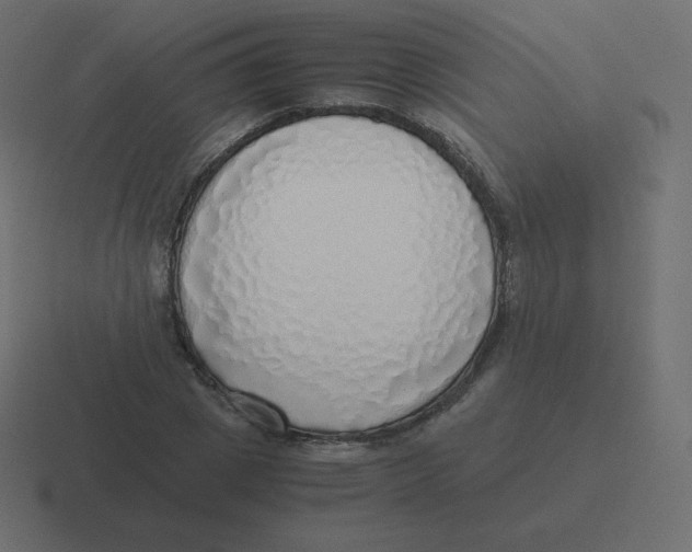 X0000116460833200912292005