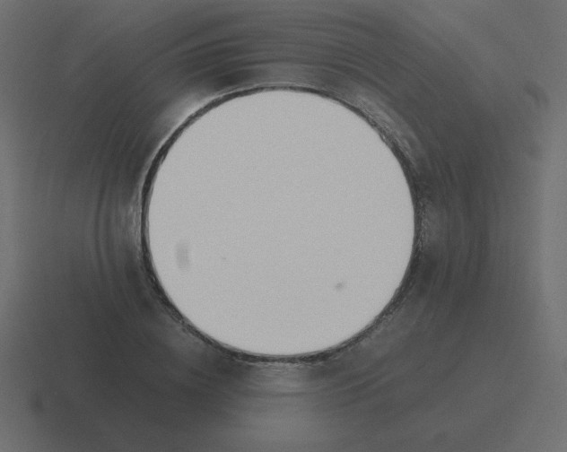 X0000116460836200912292005