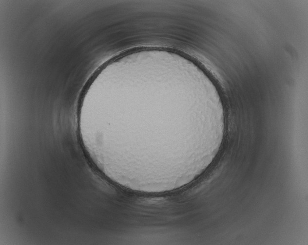 X0000116460837200912292005