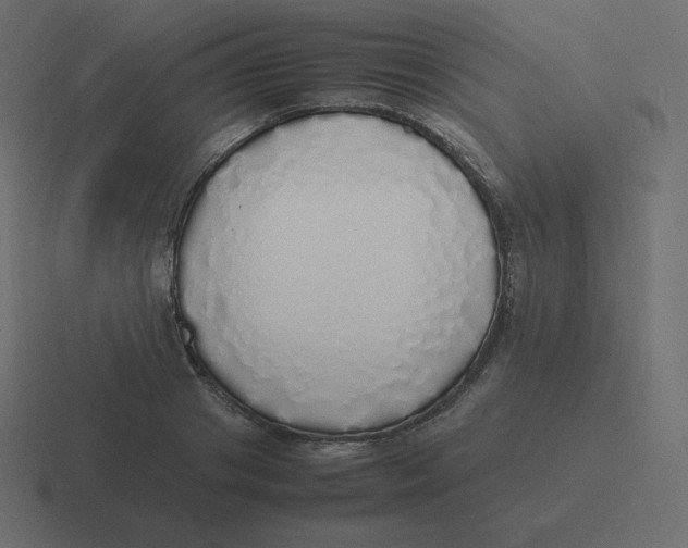 X0000116460841200912292005