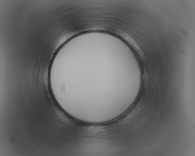 X0000116460842200912292005