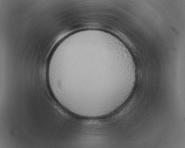 X0000116460846200912292006