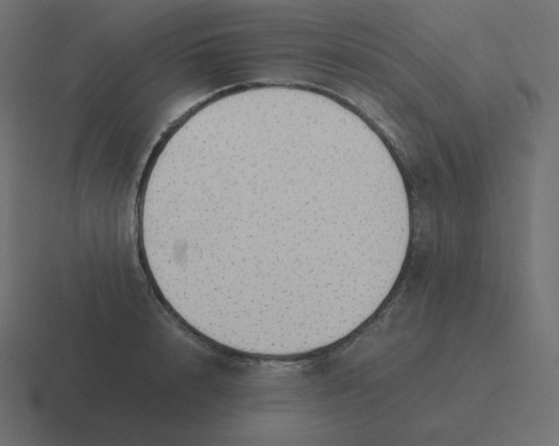 X0000116460848200912292006
