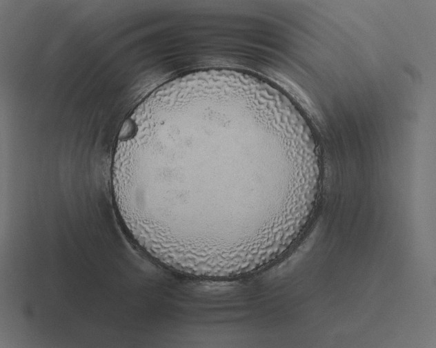 X0000116460849200912292006