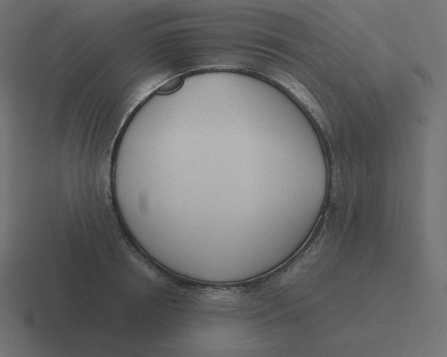 X0000116460850200912292006