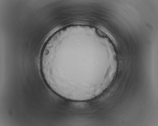 X0000116460853200912292006