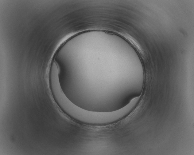X0000116460854200912292006