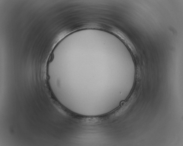 X0000116460858200912292006