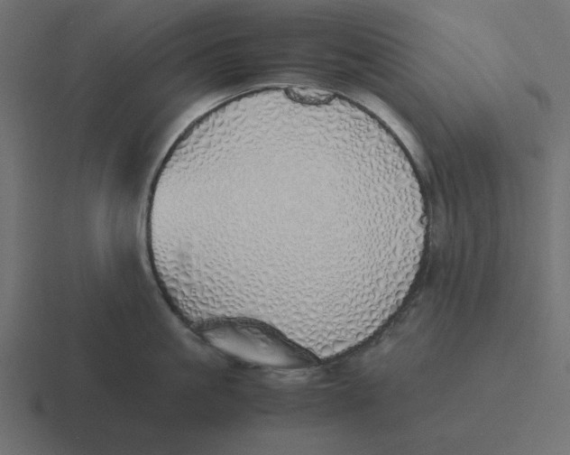 X0000116460861200912292006