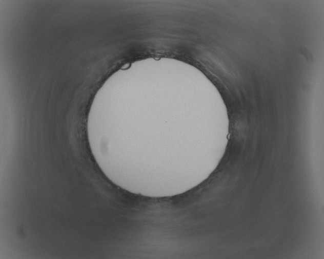 X0000116460865200912292005