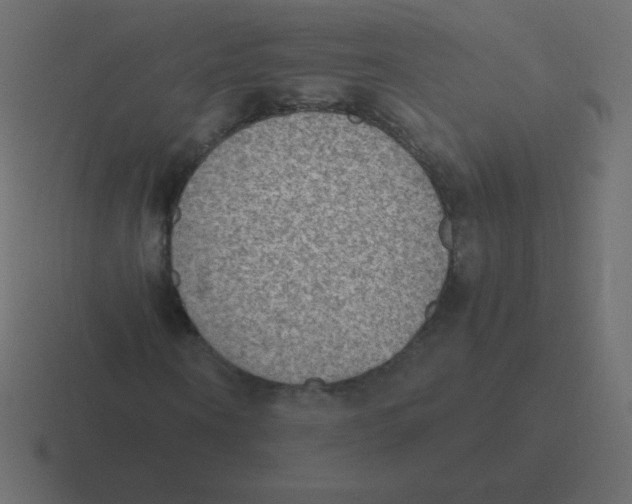 X0000116460866200912292005