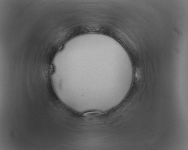 X0000116460867200912292005