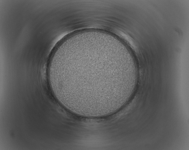 X0000116460875200912292005