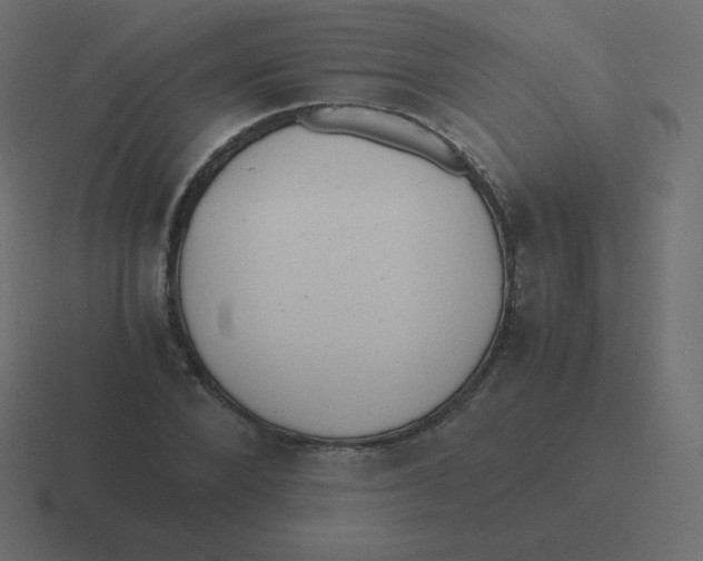 X0000116460880200912292005