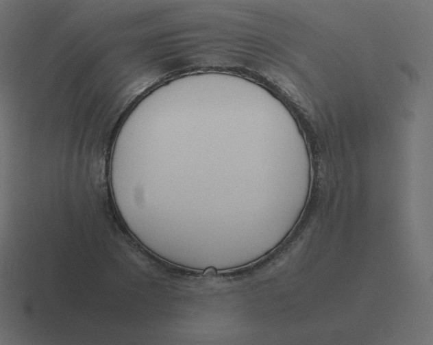 X0000116460881200912292005