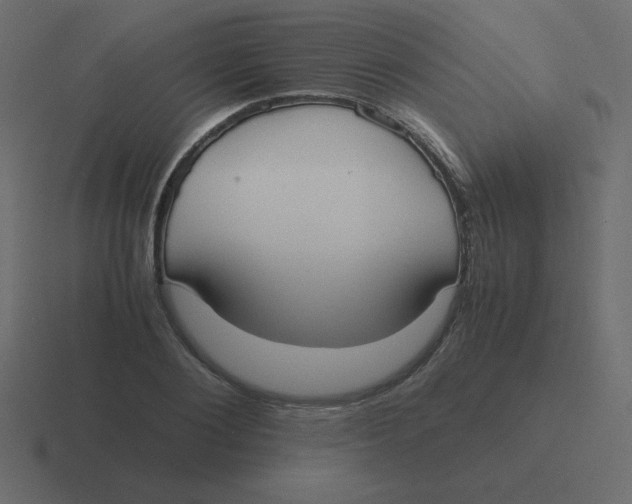 X0000116460884200912292005