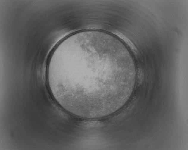 X0000116460886200912292005