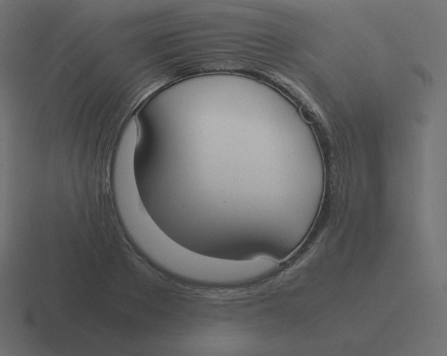 X0000116460889200912292005