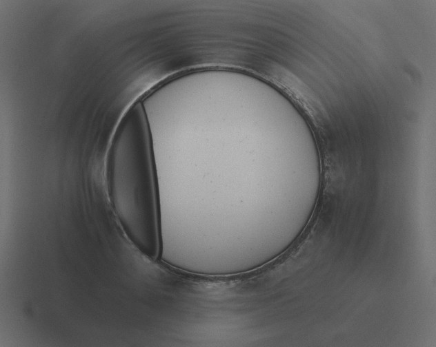 X0000116460892200912292005