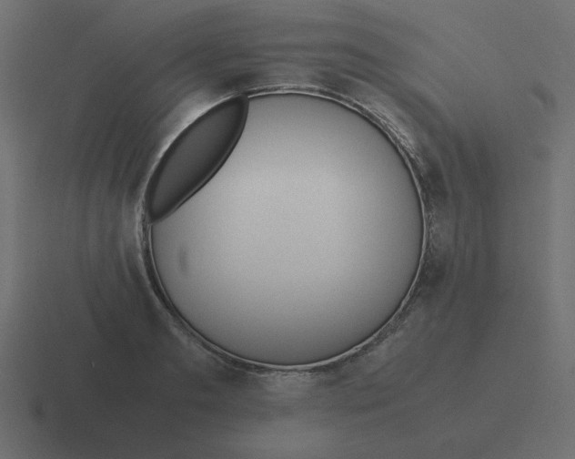 X0000116460893200912292005